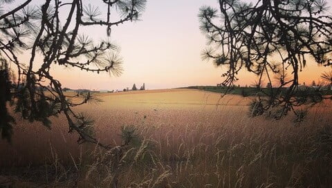 willamette valley farmland