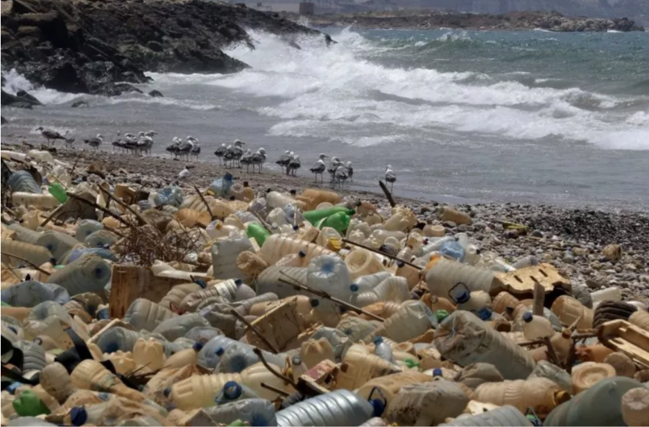 Trash on the beach Trash on the beach