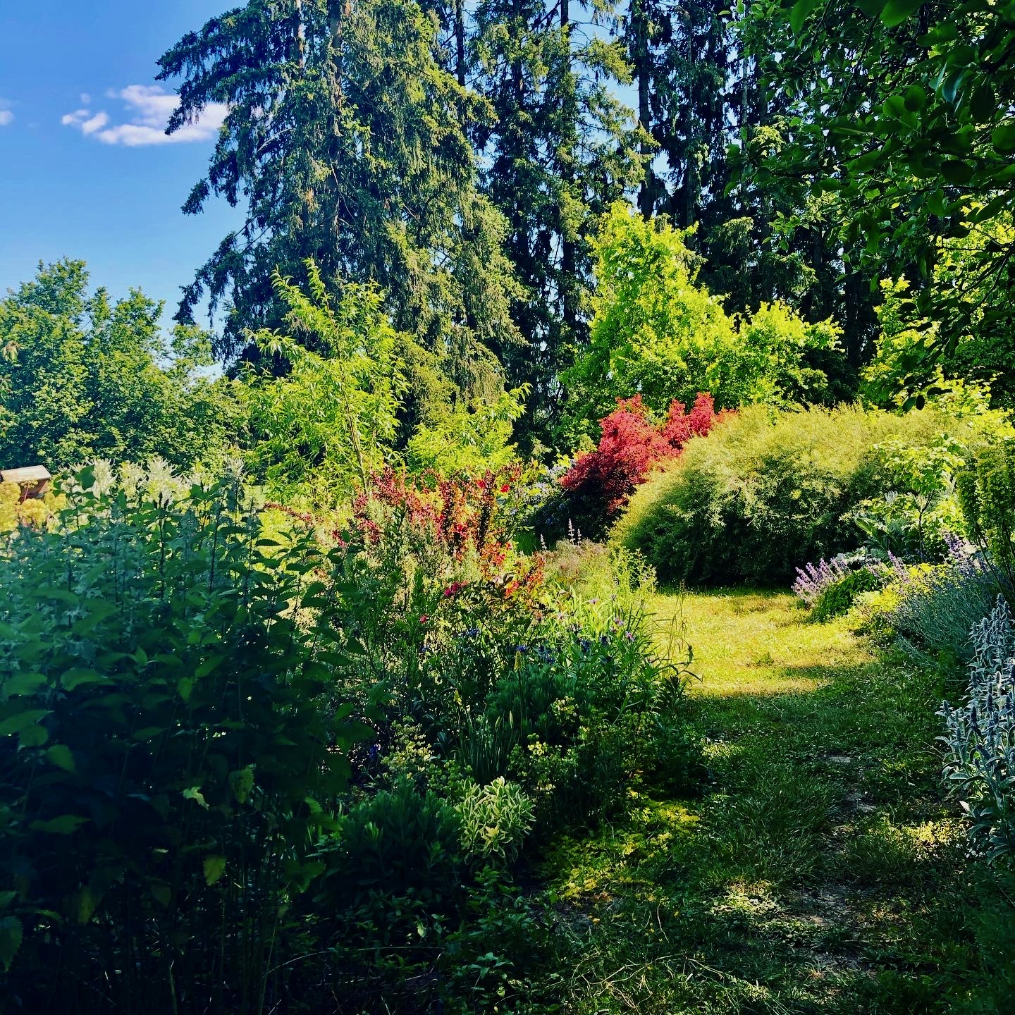 3841C8C0-5E62-44C3-B8F9-705F6E2BB6A0 The lushness of the garden invites one to explore and play