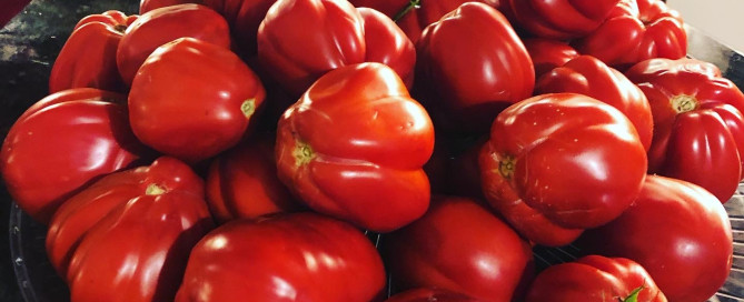 Platter of tomatoes